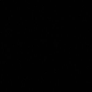 Meet your Posher, Sean